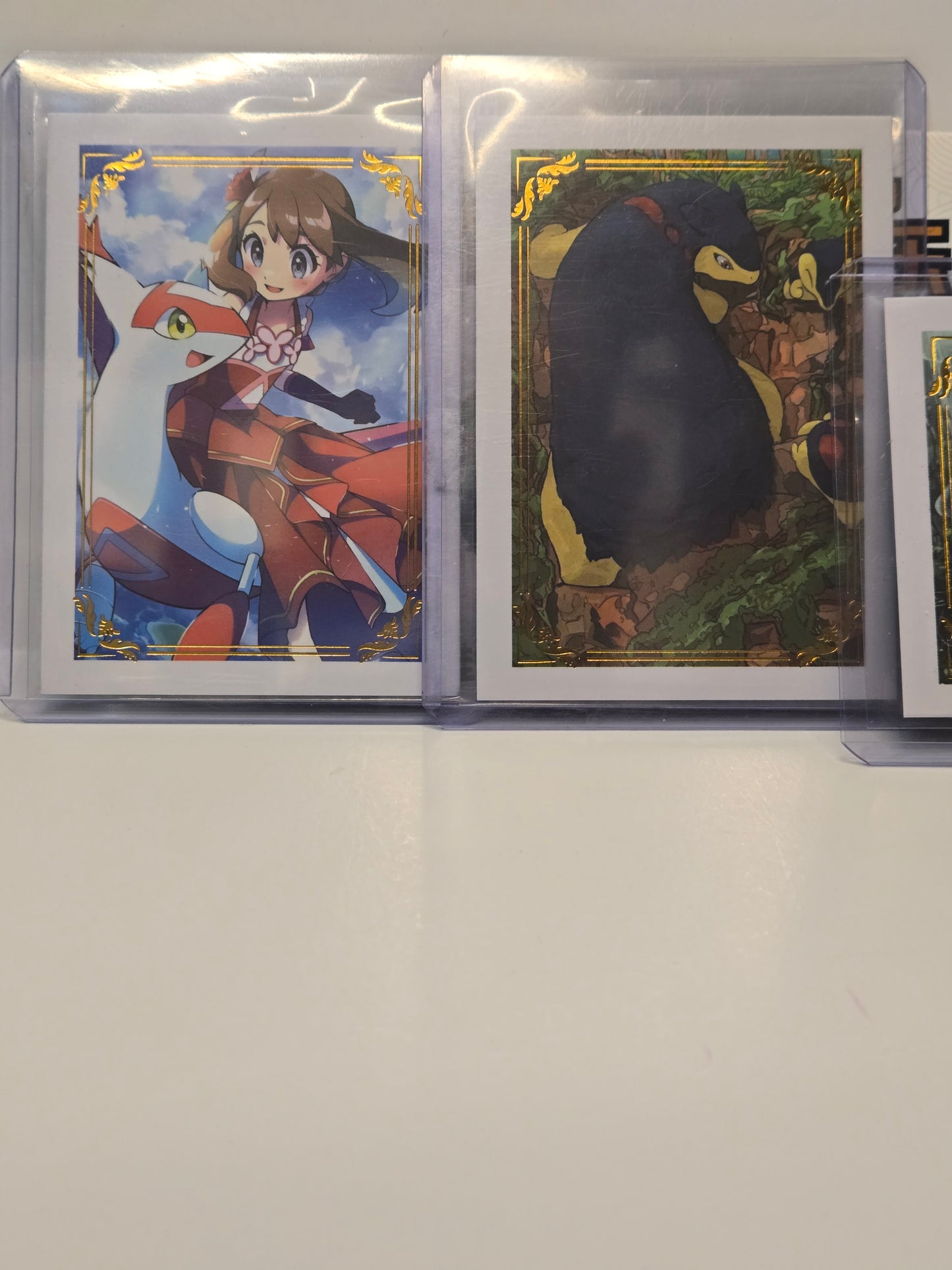 Pokémon Chinese Polaroid Fanart