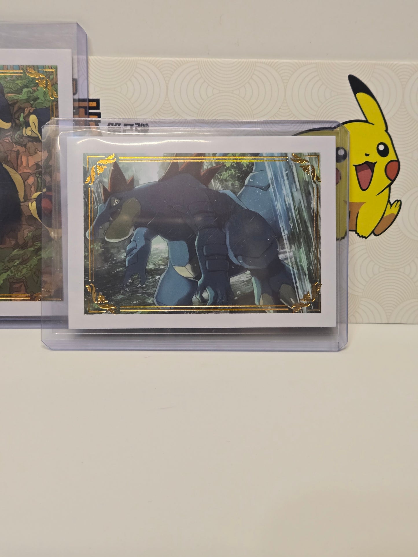 Pokémon Chinese Polaroid Fanart
